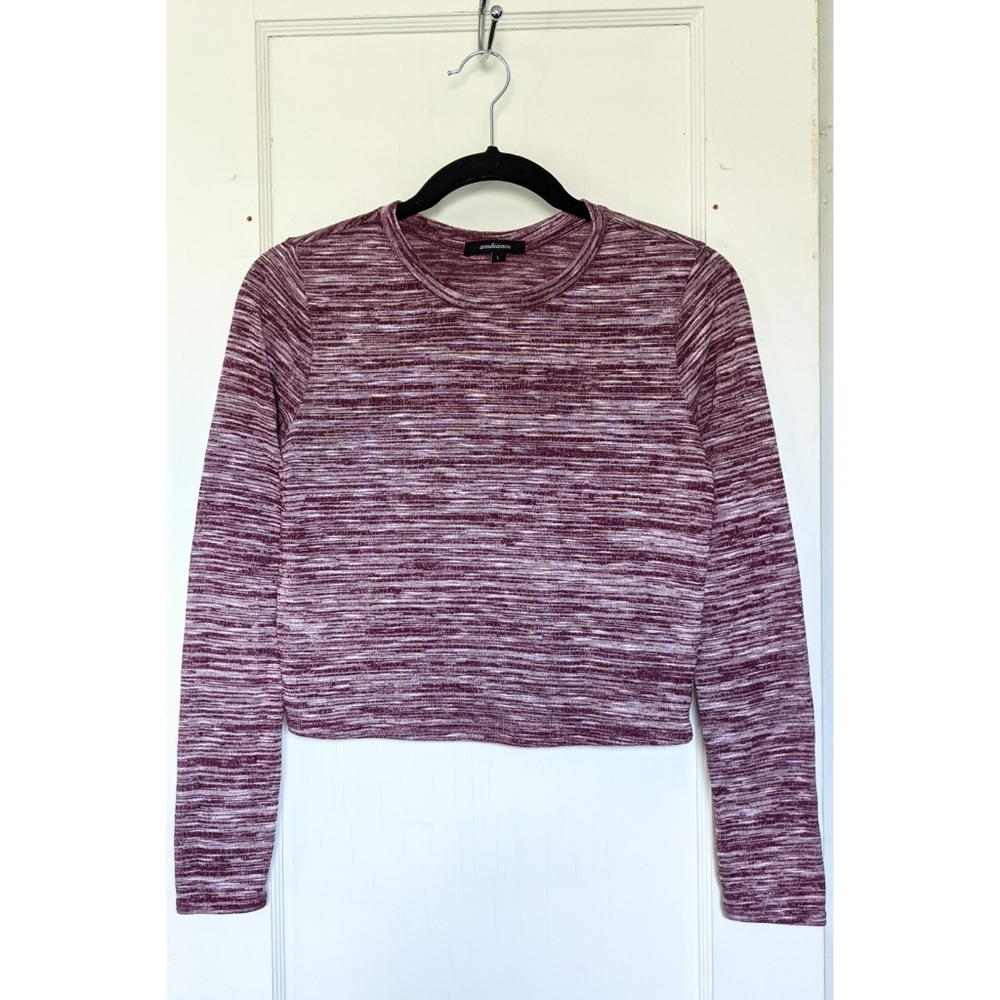 Long Sleeved Space Dyed Crop Top